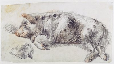 Sleeping Pig by James Ward